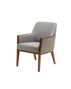 Hiawassee Side Chair (synthetic illustration; no displayed measurements)