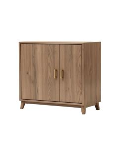 Kayne 2 Door Accent Cabinet (synthetic illustration; no displayed measurements)
