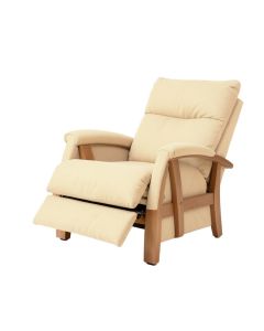 Adrit 41 '' Wide Power Lift Assist Standard Recliner