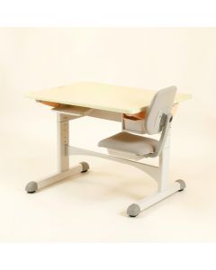 Kids Multifunctional Desk And Chair Set Adjustable Height Desk With Storage (synthetic illustration; no displayed measurements)