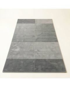 Vale Crest Rectangular Area Rug - Gray (synthetic illustration; no displayed measurements)