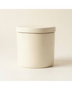 Fern Bend Storage Canister With Lid - Ivory (synthetic illustration; no displayed measurements)