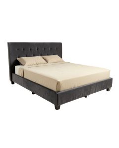 Burrus Upholstered Low Profile Standard Bed