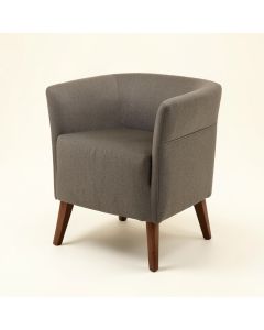 Neeley Arm Chair (synthetic illustration; no displayed measurements)