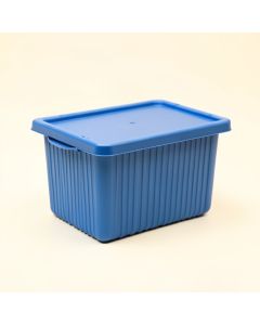 Reed Arc Closed Outdoor Storage Box - Blue (synthetic illustration; no displayed measurements)