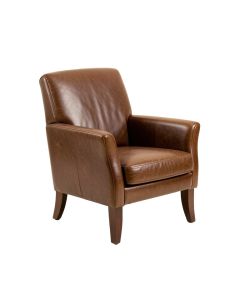Lanigan Leather Arm Chair (synthetic illustration; no displayed measurements)