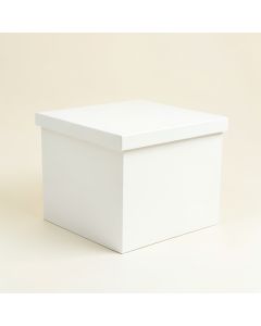 Olive Arc Closed Outdoor Storage Box - White (synthetic illustration; no displayed measurements)