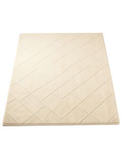 Lake Arc Rectangular Area Rug - Cream