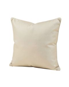 Throw Pillow (synthetic illustration; no displayed measurements)
