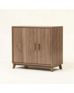 Kayne 2 Door Accent Cabinet (synthetic illustration; no displayed measurements)