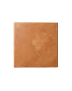 Briar Bridge Uninstalled Square Decorative Tile - Terracotta