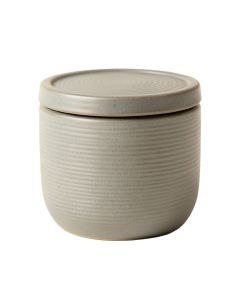 Brook Canyon Storage Canister With Lid - Gray (synthetic illustration; no displayed measurements)