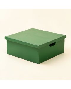 Laurel Branch Low Toy Storage Unit - Green (synthetic illustration; no displayed measurements)