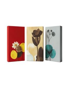 Collection Of Memories - 3 Piece Multi-Piece Image Print On Canvas
