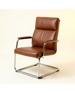 Aghan Genuine Leather Conference Chair (synthetic illustration; no displayed measurements)