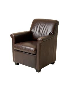 Payden Leather Upholstered Dining Chair In Espresso (synthetic illustration; no displayed measurements)