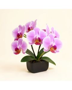 Phalaenopsis Silk Orchid Floral Arrangements And Centerpieces (synthetic illustration; no displayed measurements)