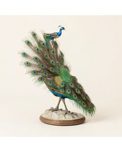 Peacock Maidens Illuminated Figurine (synthetic illustration; no displayed measurements)
