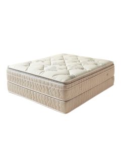 Serta Perfect Sleeper 14.75 '' Plush Pillow Top Hybrid Mattress And Box Spring Set