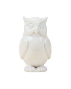 Wise Owl Decorative Figurine