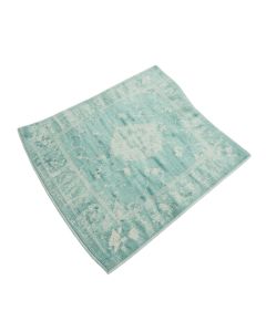 Thomason Turquoise Area Rug
