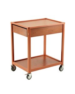 Lake Crossing Empty Rolling Workshop Cart - Terracotta
