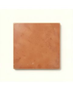 Sage Crossing Uninstalled Square Decorative Tile - Terracotta (synthetic illustration; no displayed measurements)