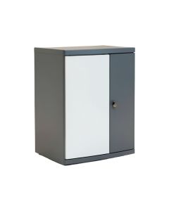 Futral Storage Cabinet (synthetic illustration; no displayed measurements)