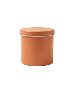 Flint Bend Storage Canister With Lid - Terracotta (synthetic illustration; no displayed measurements)