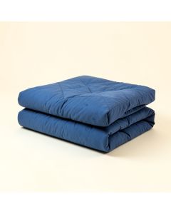 Veronique Reversible Comforter Set (synthetic illustration; no displayed measurements)