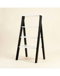 Haralda 55 '' H X 24 '' W Ladder Bookcase (synthetic illustration; no displayed measurements)
