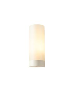Darius 1-Light Wall Sconce (synthetic illustration; no displayed measurements)