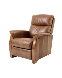 Rucinski 31.5 '' Wide Faux Leather Power Lift Assist Recliner (synthetic illustration; no displayed measurements)