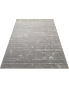 Altamont Silver Gray Area Rug