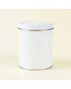 Pine Dale Storage Canister With Lid - White (synthetic illustration; no displayed measurements)