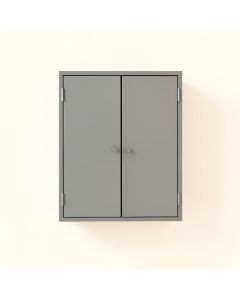 Reed Bridge Wall-Mounted Laundry Cabinet - Gray (synthetic illustration; no displayed measurements)