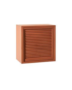 Rowan Bridge Wall-Mounted Entry Cabinet - Terracotta