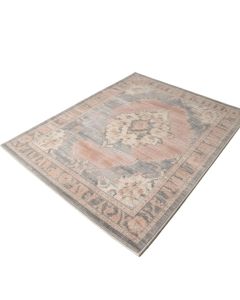 Skye Oriental Blush/Gray Area Rug