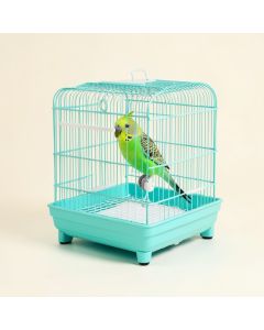 Double Roof Parakeet Bird Starter Kit (synthetic illustration; no displayed measurements)