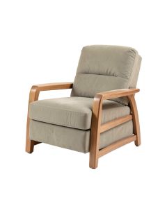 Lofton 46 '' Wide Power Lift Assist Standard Recliner