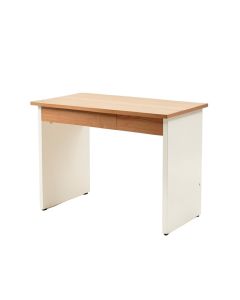 Dayne Desk (synthetic illustration; no displayed measurements)
