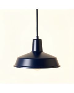 Slate Branch Pendant Light Suspended From One Plain Cable - Navy (synthetic illustration; no displayed measurements)