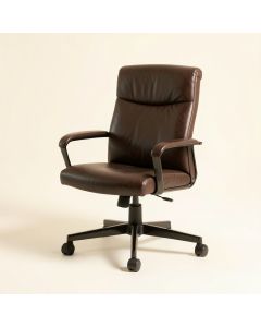 Aracele Ergonomic Executive Leather Office Chair (synthetic illustration; no displayed measurements)