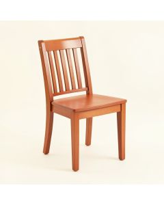 Lake Canyon Dining Chair - Terracotta (synthetic illustration; no displayed measurements)
