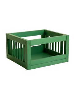 Birch Dale Empty Furniture-Style Pet Crate - Green (synthetic illustration; no displayed measurements)