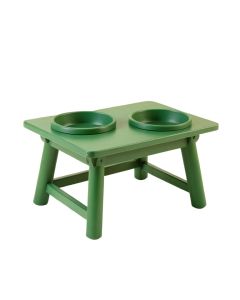 Sage Canyon Pet Feeding Stand With Two Plain Empty Bowls - Green (synthetic illustration; no displayed measurements)