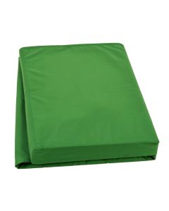 Dinosaur Fitted Sheet