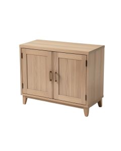 Jace 2 Door Accent Cabinet (synthetic illustration; no displayed measurements)