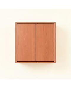 Hazel Dale Wall-Mounted Entry Cabinet - Terracotta (synthetic illustration; no displayed measurements)