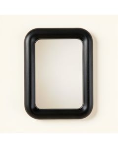 Aspen Canyon Framed Wall Mirror - Black (synthetic illustration; no displayed measurements)